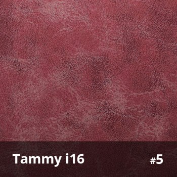 Tammy i16 5